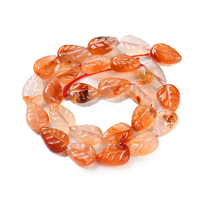 Natural Agate Carved Beads Strands G-H024-B01-01-1