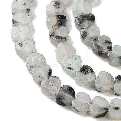 Natural Sesame Jasper Beads Strands G-M403-A40-01-1