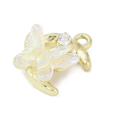 Alloy Pendants PALLOY-R151-08G-02-1