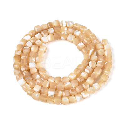 Natural Trochid Shell/Trochus Shell Beads Strands SSHEL-N041-04B-02-1
