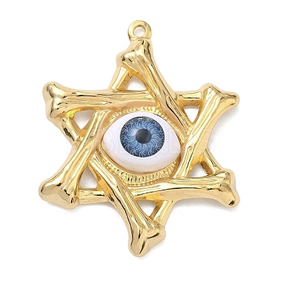 304 Stainless Steel & Resin & Glass Pendants STAS-G371-15G-04-1