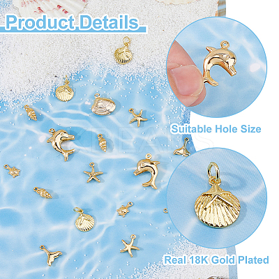 Marine Organism Theme 21Pcs 7 Styles Brass Charms KK-HS0015-53-1