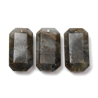 Natural Labradorite Pendants G-H325-03-06-1