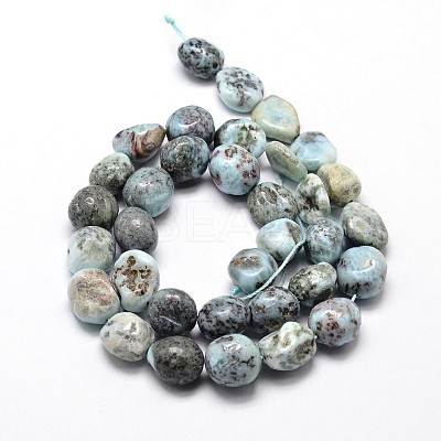 Natural Larimar Nuggets Beads Strands G-E271-128-1