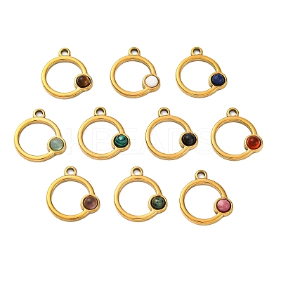 Natural Mixed Stone Pendants STAS-Z100-06G-1