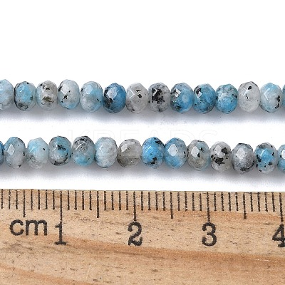Dyed Natural Sesame Jasper Rondelle Beads Strands G-E316-2x4mm-A01-1