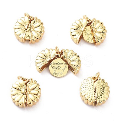 Brass Micro Pave Clear Cubic Zirconia Openable Pendants X-KK-D004-09G-1
