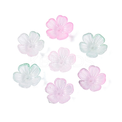 Transparent Plastic Bead Caps KY-Q005-02A-11-1