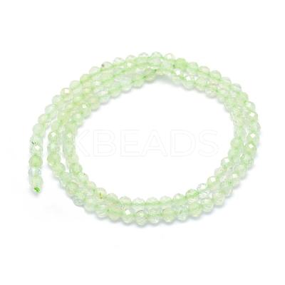 Natural Prehnite Beads Strands G-E411-25-4mm-1