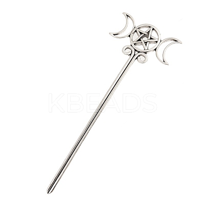 Alloy Hair Sticks PW-WG216BE-02-1