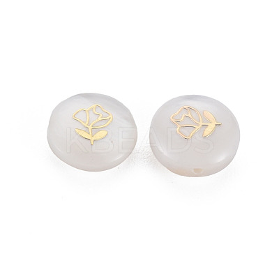 Natural Freshwater Shell Beads SHEL-S278-055-1