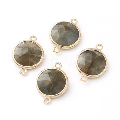 Labradorite Links Connectors G-B009-18G-1