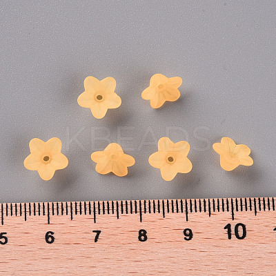 Transparent Acrylic Beads X-PL554-07-1