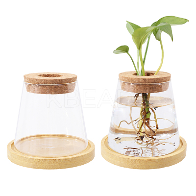 Glass Planter Vase with Wooden Lid and Bamboo Stand AJEW-WH0554-97-1