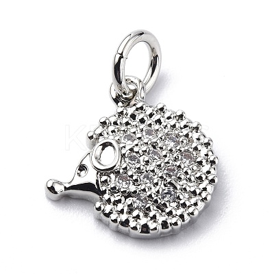 Brass Micro Pave Cubic Zirconia Charms ZIRC-F131-10P-1