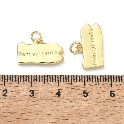 Brass Pendants KK-D229-22N-G-1
