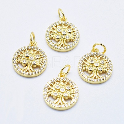 Brass Micro Pave Clear Cubic Zirconia Charms ZIRC-J040-10G-NR-1