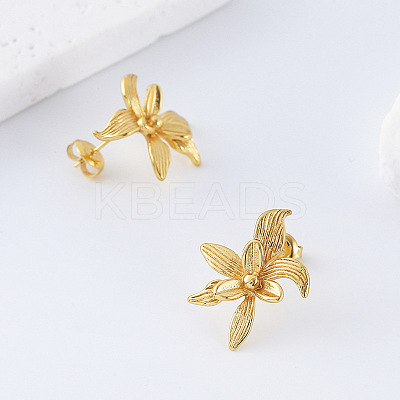 304 Stainless Steel Stud Earrings for Women DB8476-1