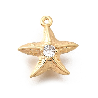 Brass Pave Clear Cubic Zirconia Charms KK-C096-14B-G-1