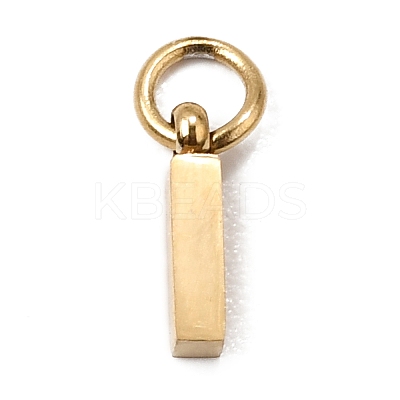 304 Stainless Steel Charms SA-CBABF3F-01G-I-1