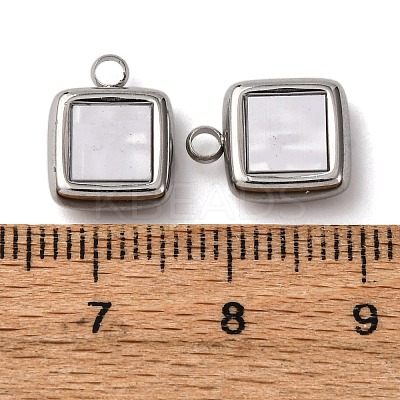 304 Stainless Steel Resin Pendants STAS-P406-15B-P-1