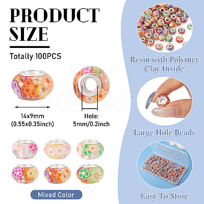 100Pcs Resin with Polymer Clay Inside European Beads RPDL-TA0001-08-1