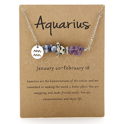 667 Stainless Steel with Natural Amethyst & Natural Dalmatian Jasper & Natural Sodalite Chip Pendant Necklaces FS-WGFED6E-10-1