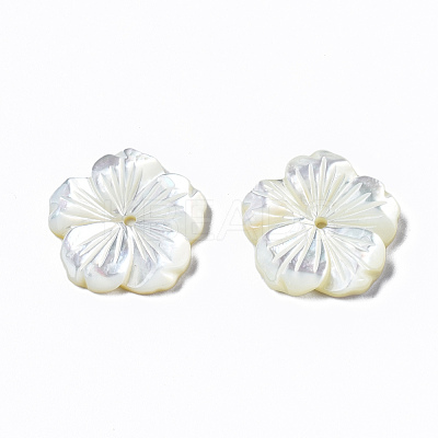 Natural White Shell Mother of Pearl Shell Beads SSHEL-T014-42B-1