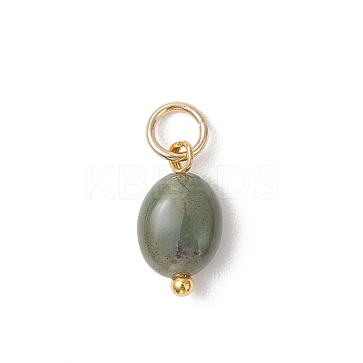 Natural Indian Agate Oval Charms PALLOY-JF04942-1