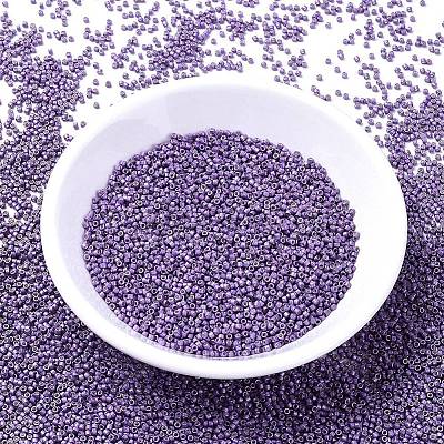 MIYUKI Delica Beads X-SEED-J020-DB1185-1
