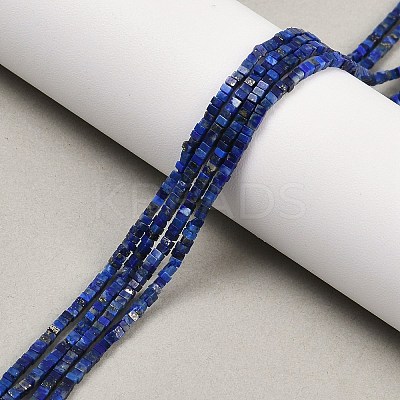 Natural Lapis Lazuli Beads Strands G-K399-B09-01-1