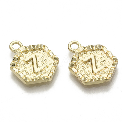 Alloy Pendants PALLOY-N157-003Z-NR-1