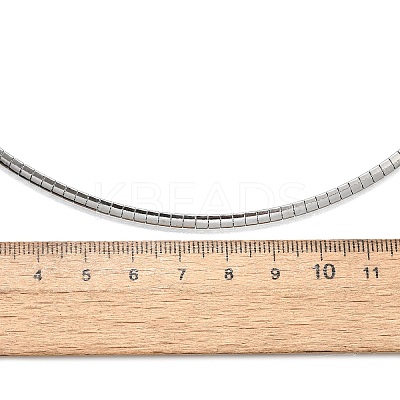 Non-Tarnish 304 Stainless Steel Necklaces NJEW-D274-01P-1