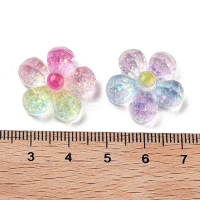 Transparent Resin Decoden Cabochons X-RESI-M045-03-1