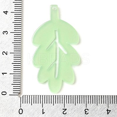 Opaque Acrylic Pendants LS-OACR-H047-02A-02-1