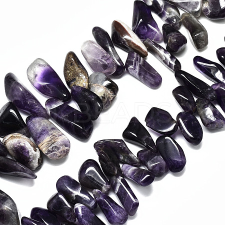 Natural Amethyst Strands Beads G-R485-06B-1