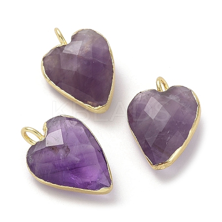 Natural Amethyst Pendants G-G012-11G-08-1