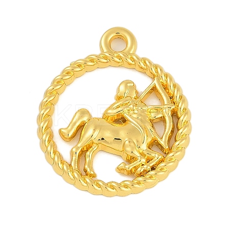 Twelve Constellations Alloy Pendants LS-PALLOY-Q006-01D-G-1