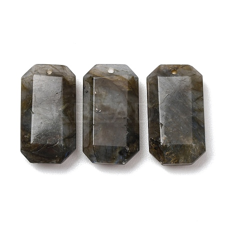 Natural Labradorite Pendants G-H325-03-06-1