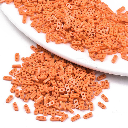 FGB 2-Hole Glass Seed Beads LS-X-SEED-S031-S-SQ50-1