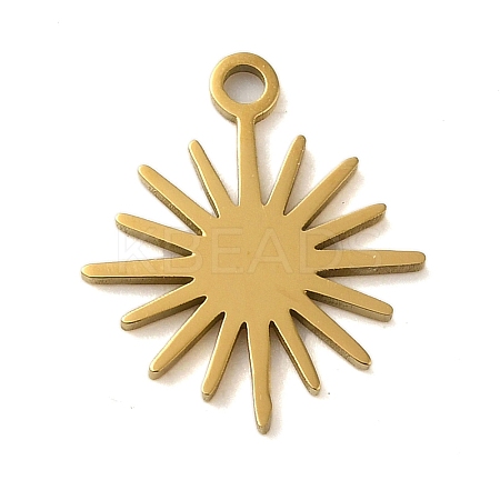 304 Stainless Steel Charms LS-STAS-S123-01G-04-1