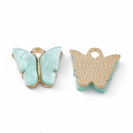 Acrylic Charms MACR-C012-01KCG-01-1
