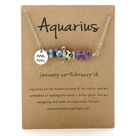 667 Stainless Steel with Natural Amethyst & Natural Dalmatian Jasper & Natural Sodalite Chip Pendant Necklaces FS-WGFED6E-10-1