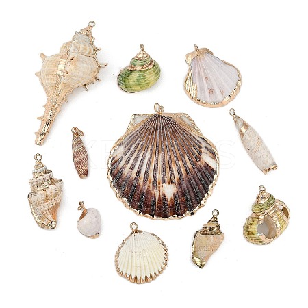 Natural Mixed Shell Pendants SHEL-K009-01-1