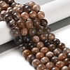 Natural Black Sunstone Beads Strands G-U009-A01-04-2