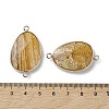 Natural Picture Jasper Connector Charms G-C110-02E-KCG-3