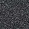 6/0 Glass Seed Beads SEED-L011-08A-10-3