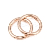 Brass Closed Jump Rings KK-D257-01RG-08-2