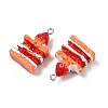 Spray Painted Opaque Resin Pendants RESI-F061-04-2