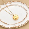 304 Stainless Steel Clear Cubic Zirconia Constellation Pendant Necklaces NJEW-R021-02G-01-1